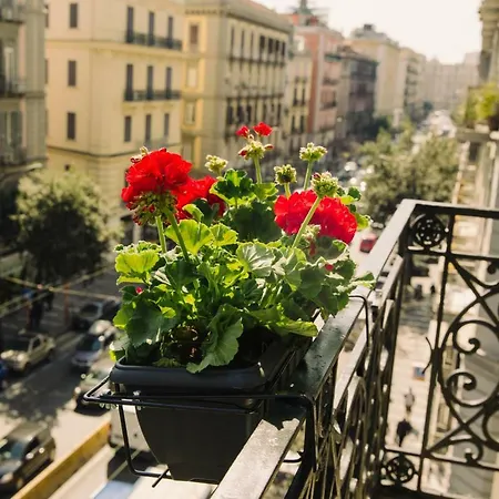 The Grey Vendégház